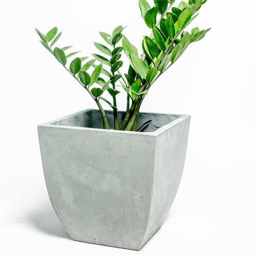 Concrete Planter - Quadrado