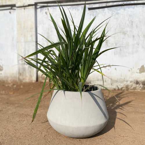 Concrete Planter - Fusion S