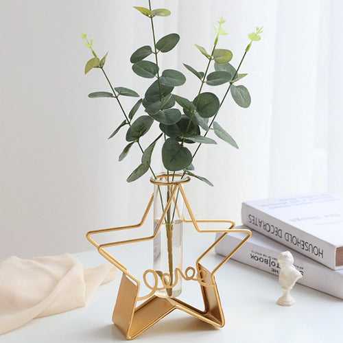 Star Test Tube Planter