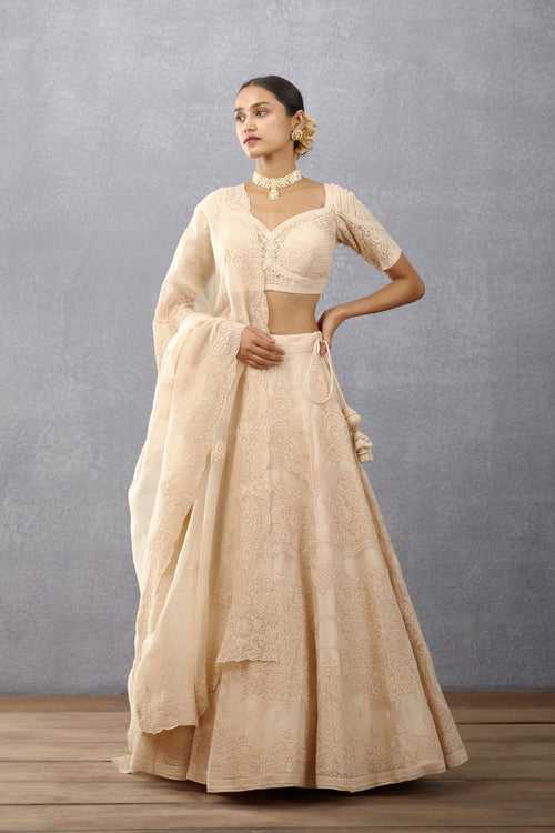 RTS - Kasturi Meher Passa Lehenga Set