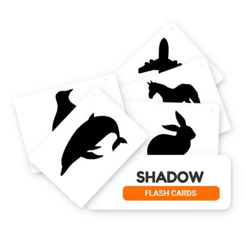 Shadows Flash Cards