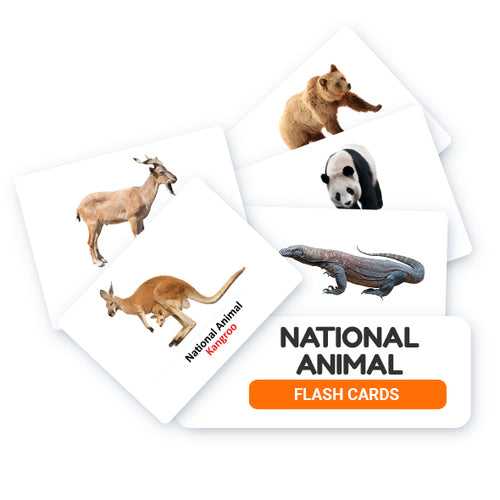 National Animal Flash Cards