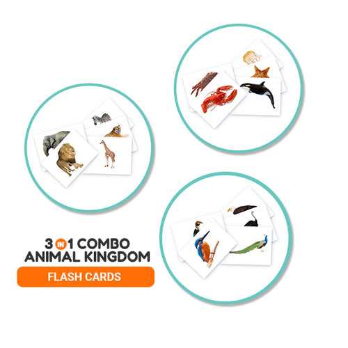 Animal Kingdom - Bundle Flash Cards
