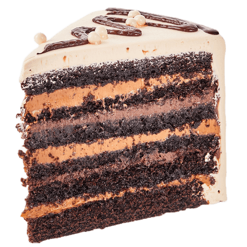 Chocolate Dulce de Leche Cake Slice