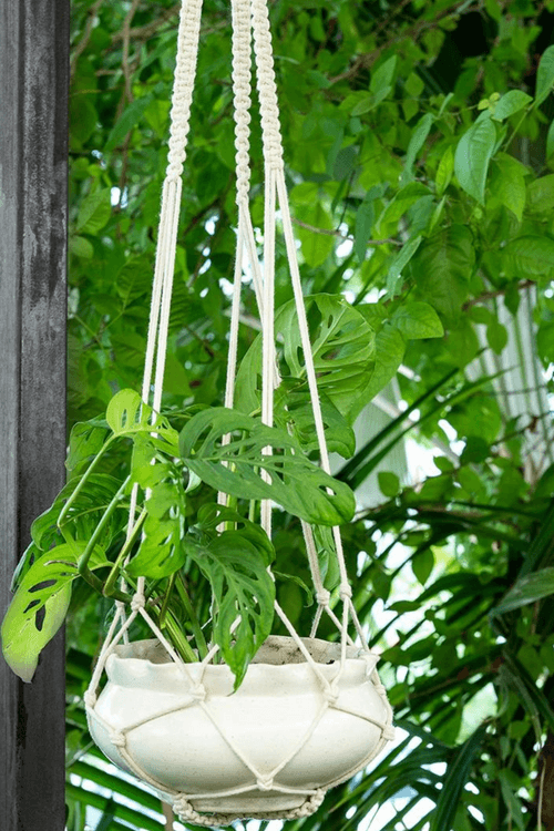 Pretty Simple Plant Hanger