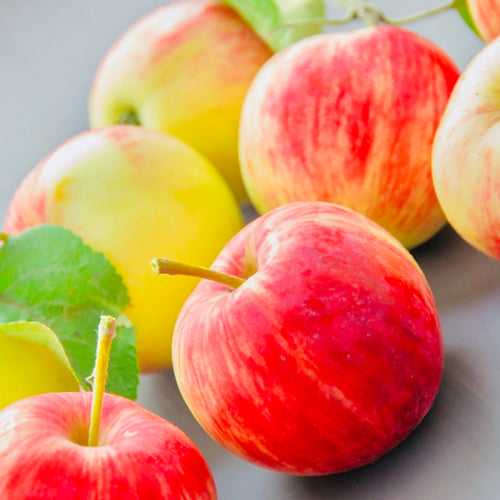 Kashmir Delicious Apple Box-5 Kgs