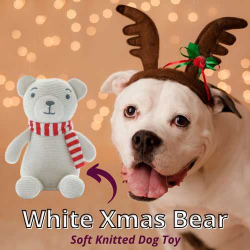 White Xmas Bear Knitted Dog Toy
