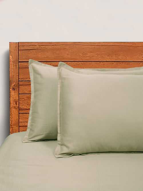 SHEEN SHINE 100% Cotton Bed sheet + 2 Pillow Covers