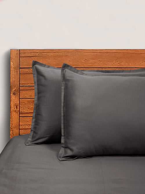 SHEEN SHINE 100% Cotton Bed sheet + 2 Pillow Covers (Gifts)