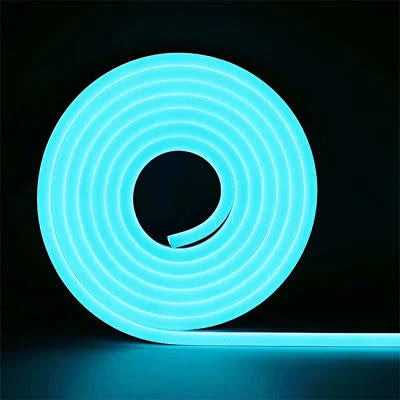 12V Neon Flexible LED Strip Light 5 Meter (Ice Blue)
