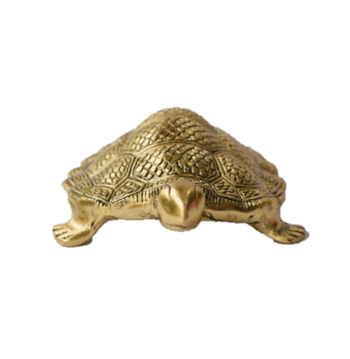 Tortoise Golden