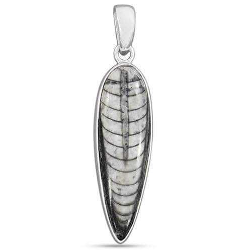 Natural & Energized Kuber Stone Money Pendant for All Financial Problems, Orthoceras Stone