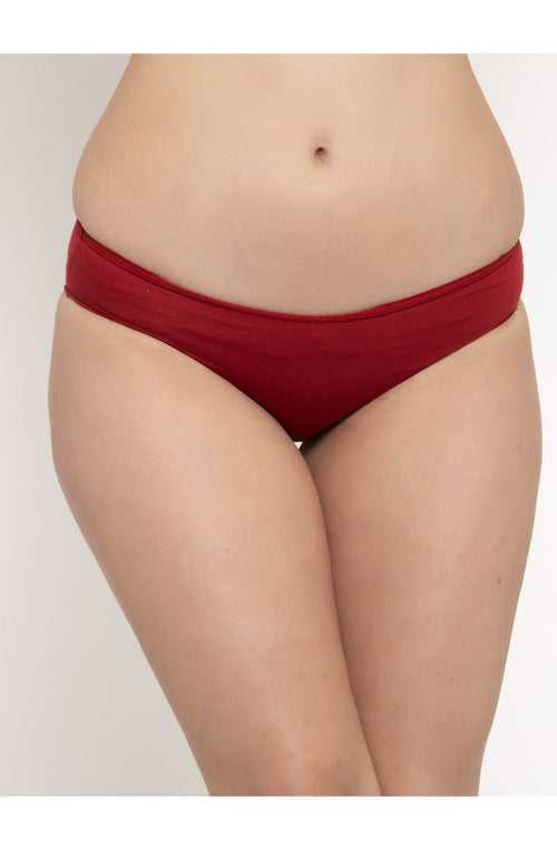 Women  Antimicrobial And Stain Release Micro Modal Panty