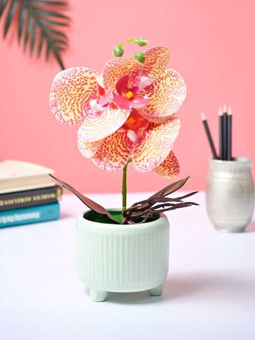 Market99 Pink Artificial Orchid Flower With Green Pot