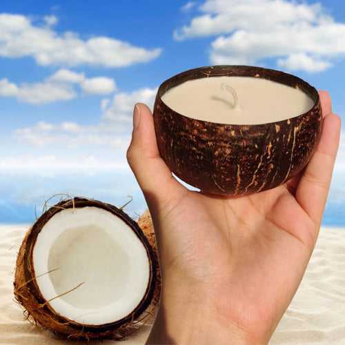 Soy Wax Candle - Coconut Shell (100gms only)