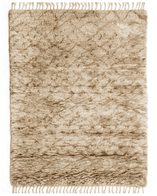 Hand-Knotted Modern Rug (AR-2)