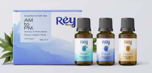 Rey Naturals 100% Natural Aroma Diffuser Essential Oil Set - Rest Focus Inspire - 3 Aromatherapy Blends for Home Fragrance | Stress relief and Headache relief (Vanilla, Ylang Ylang & Lavender)