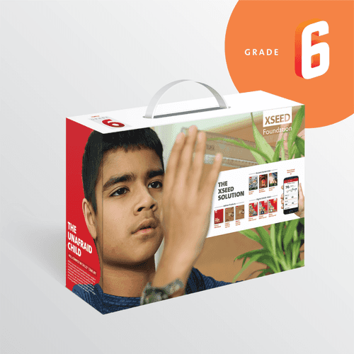 Foundation CBSE Grade 6 Book Set (with Hindi), XSEED Learnometer, and XSEED Universal