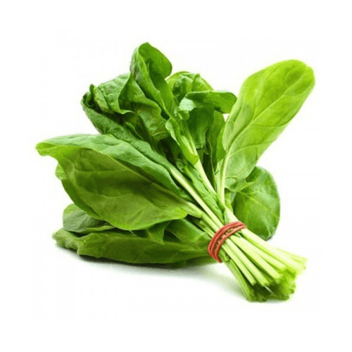 Palak Seeds Urja Green (Spinach)