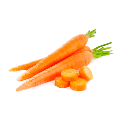 Carrot Seeds Shin Kuroda