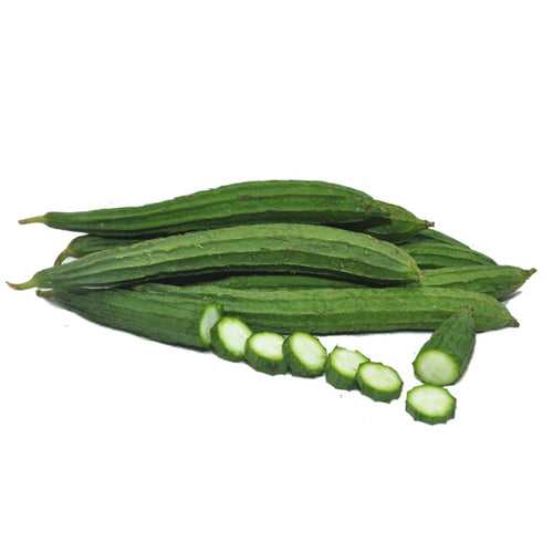 Ridge Gourd  Seeds F-1 Hybrid US-495 (Green)