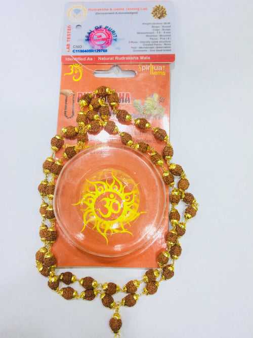54 beads Rudraksha Mala