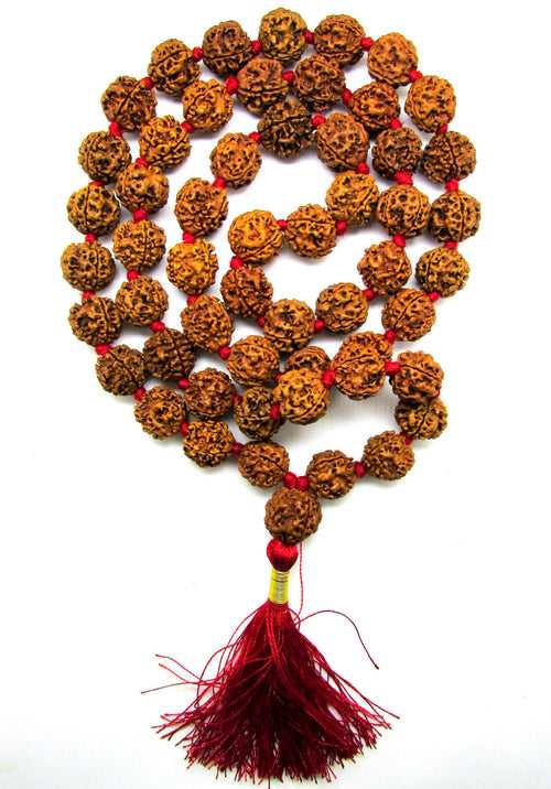 6 Mukhi Rudraksha Kantha / Kartikeya Siddha mala - 55 Nepali beads