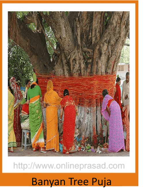 Banyan tree Puja