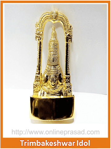 The Trimbakeshwar Shiva Idol