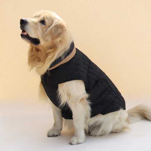 New Quilted Dog jacket black