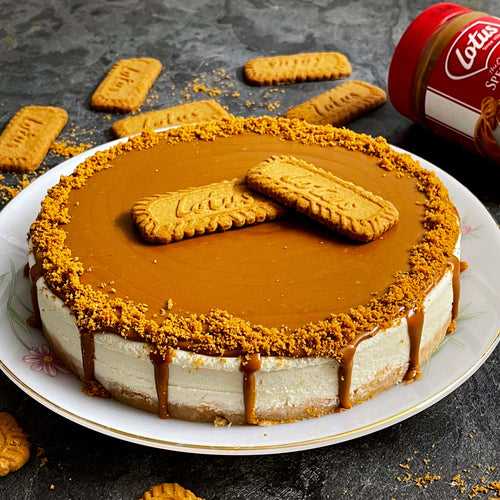 Lotus Biscoff Cheese Cake