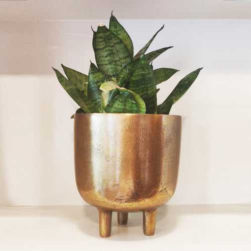 Three Legged Planter - Antique Gold