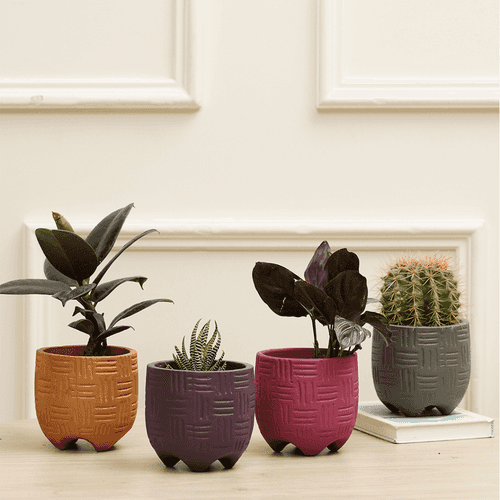 Monaco Terracotta Planter Combo (Pack of 4)