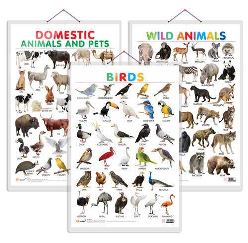 Set of 3 Domestic Animals and Pets, Wild Animals and Birds Early Learning Educational Charts for Kids | 20"X30" inch |Non-Tearable and Waterproof | Double Sided Laminated | Perfect for Homeschooling, Kindergarten and Nursery Students
