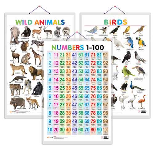 Set of 3 Wild Animals, Birds and Numbers 1-100 Early Learning Educational Charts for Kids | 20"X30" inch |Non-Tearable and Waterproof | Double Sided Laminated | Perfect for Homeschooling, Kindergarten and Nursery Students
