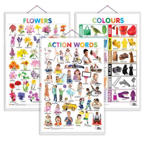 Set of 3 Flowers, Colours and Action Words Early Learning Educational Charts for Kids | 20"X30" inch |Non-Tearable and Waterproof | Double Sided Laminated | Perfect for Homeschooling, Kindergarten and Nursery Students
