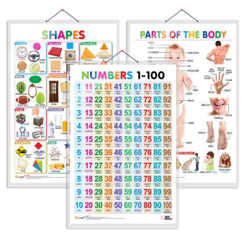 Set of 3 Shapes, Parts of the Body and Numbers 1-100 Chart for Kids | 20"X30" inch |Non-Tearable and Waterproof | Double Sided Laminated | Perfect for Homeschooling, Kindergarten and Nursery Students