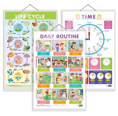 Set of 3 Life Cycle, TIME and DAILY ROUTINE Early Learning Educational Charts for Kids | 20"X30" inch |Non-Tearable and Waterproof | Double Sided Laminated | Perfect for Homeschooling, Kindergarten and Nursery Students