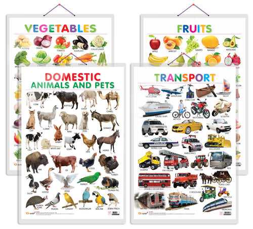 Set of 4 Fruits, Vegetables, Domestic Animals and Pets and Transport Early Learning Educational Charts for Kids | 20"X30" inch |Non-Tearable and Waterproof | Double Sided Laminated | Perfect for Homeschooling, Kindergarten and Nursery Students