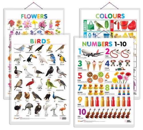 Set of 4 Birds, Flowers, Colours and Numbers 1-10 Early Learning Educational Charts for Kids | 20"X30" inch |Non-Tearable and Waterproof | Double Sided Laminated | Perfect for Homeschooling, Kindergarten and Nursery Students