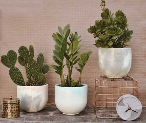 YC Large Geometric Planter