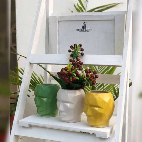 3D Face Planter | Table Planter | Ceramic pots Online | Set Of 2 | Available Colour- Green, Yellow and White  | Size:- 14CM X 11CM