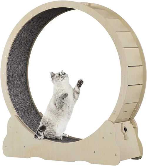 Cat Exercise Wheel - Cat Treadmill