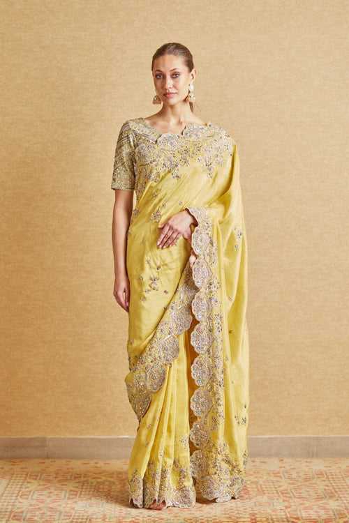 Amber Embroidered Saree
