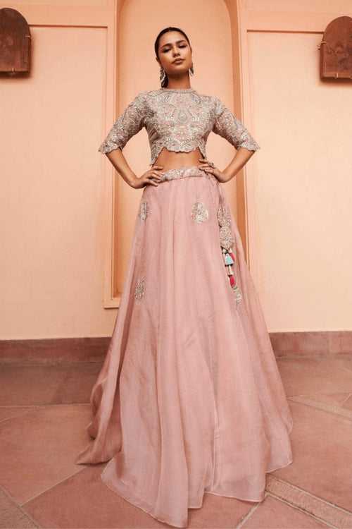 Tan Embroidered Lehenga Set