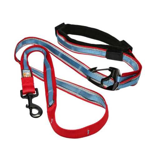 Kurgo Quantum 6-in-1 Dog Leash - Barn Red