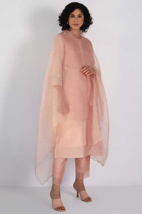 Old Rose Tunic in Double Layered Stripe Organza With Hand Embroidery Sleeve Detail And Stripe Organza Pant