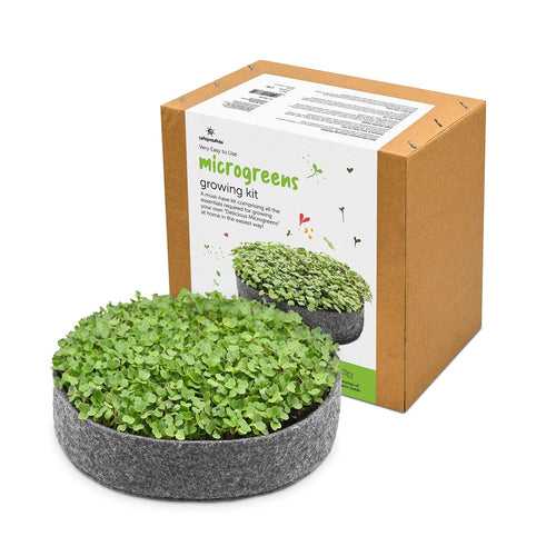 Microgreen Growing Kit -  Sustainable & Ready to Use DIY Microgreen Seeds Grow Gift Kit - Grow Your Own Microgreen Kit