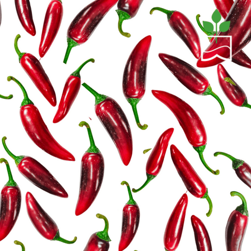 Jalapeños (Red)