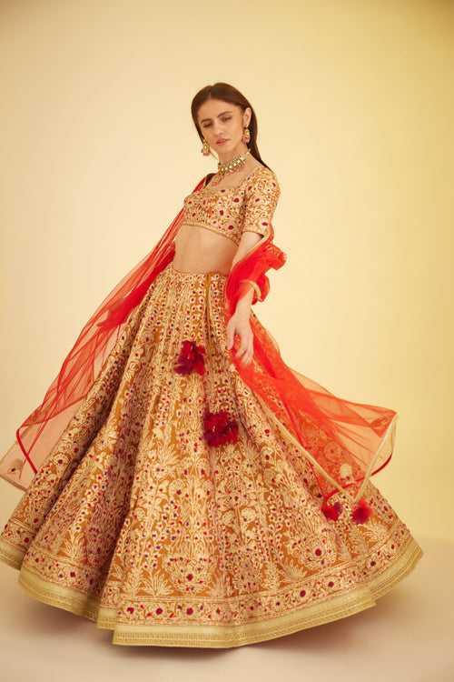 Rust Lehenga Set.